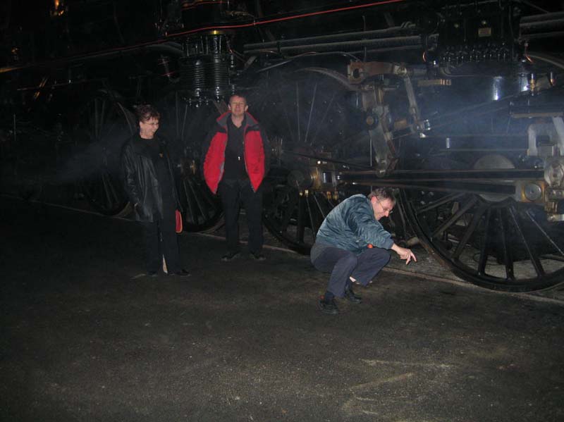 2006.01.14Mustrain01